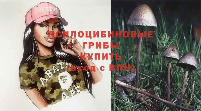 Псилоцибиновые грибы MAGIC MUSHROOMS  хочу   Дивногорск 