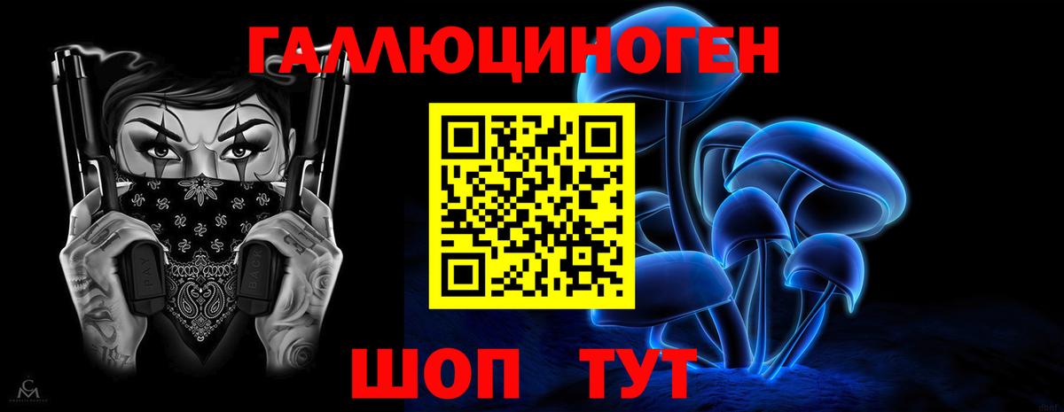 Псилоцибиновые грибы GOLDEN TEACHER  магазин продажи   Дивногорск 